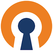 openvpn